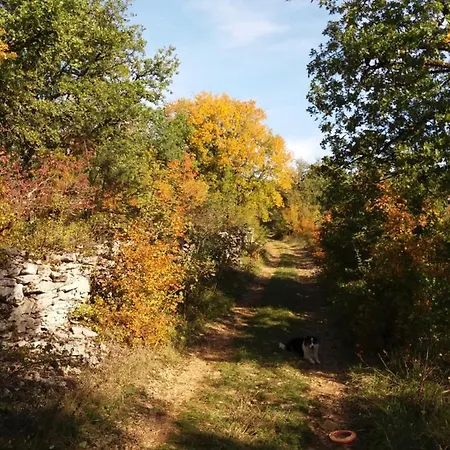 Nocleg ze śniadaniem Les Trois Prunelles Saint-Pierre-Toirac