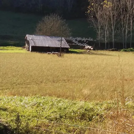 Les Trois Prunelles