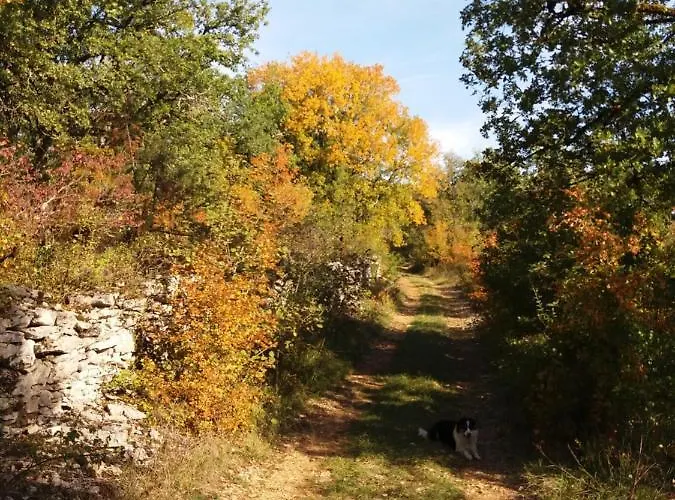 Bed & Breakfast Les Trois Prunelles Saint-Pierre-Toirac