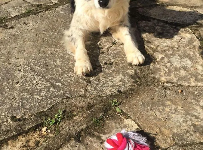 Les Trois Prunelles 3*