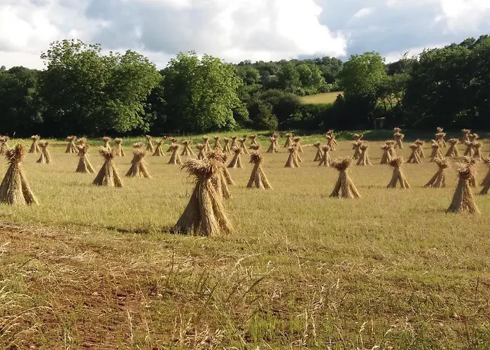 Les Trois Prunelles 3* Saint-Pierre-Toirac