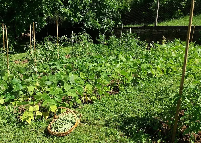 Les Trois Prunelles Bed & Breakfast Saint-Pierre-Toirac