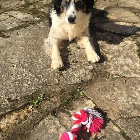 Les Trois Prunelles 3*