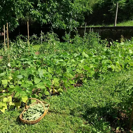 Les Trois Prunelles ベッド・アンド・ブレックファスト Saint-Pierre-Toirac